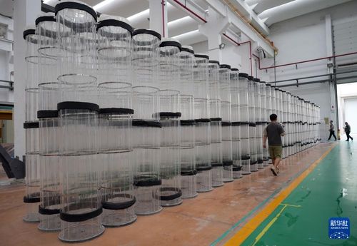 新华全媒 高质量发展调研行丨从 小作坊 到 小巨人 民企竞逐 专精特新