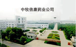 产业基地
