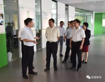 江苏省省委常委领导莅临安靠智电考察